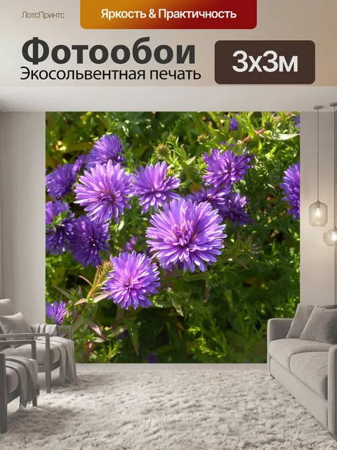 Фотообои Цветы