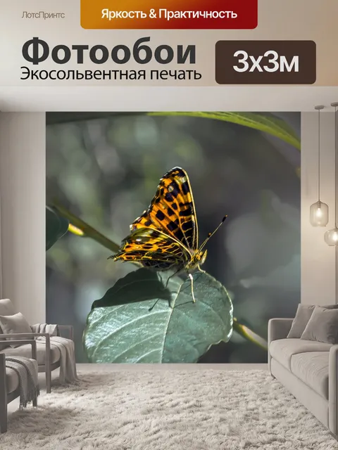 Фотообои Бабочка