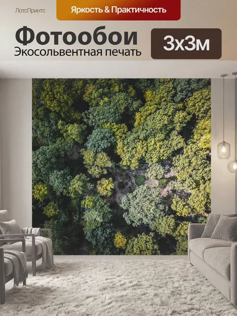 Фотообои Лес