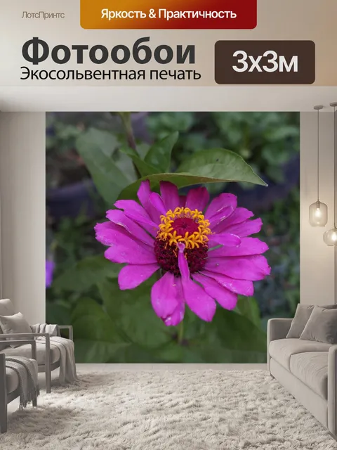 Фотообои Цветы