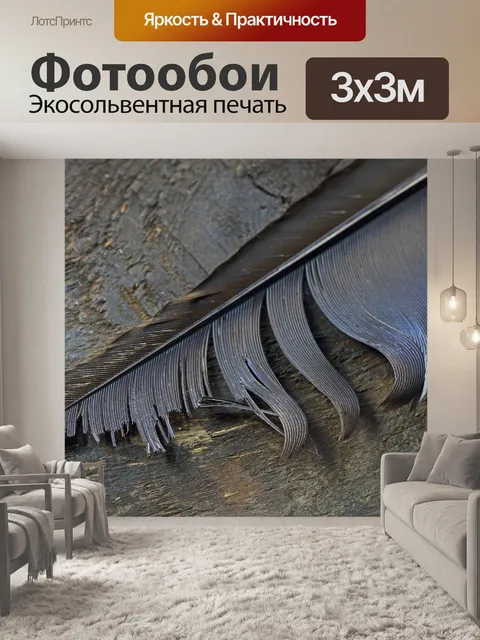 Фотообои кончик серого пера пера