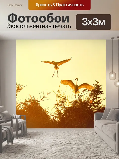 Фотообои Закат днем