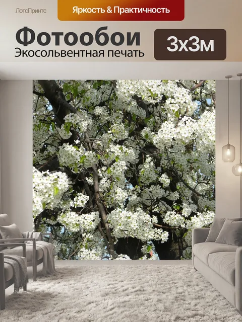 Фотообои Цветы