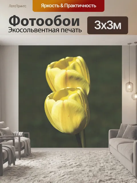 Фотообои Тюльпан