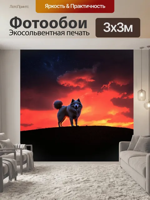 Фотообои самоед на фоне заката, стоящий на вершине холма, с огненно-красным небом и густыми облаками