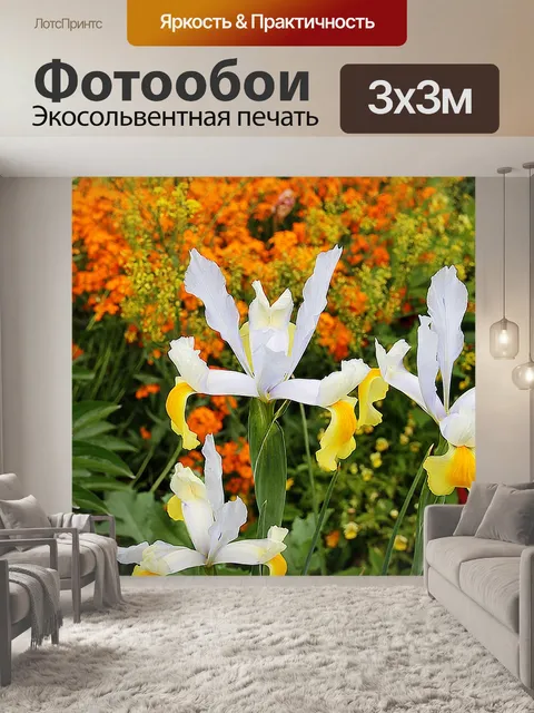 Фотообои Цветы
