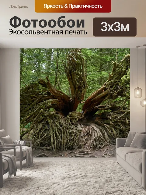 Фотообои Корень