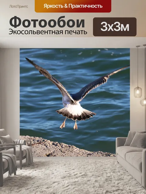 Фотообои Птиц