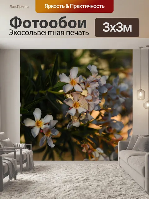 Фотообои Красота
