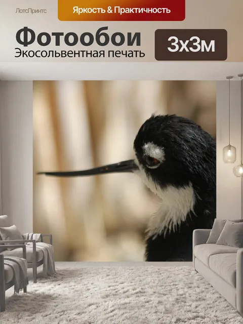 Фотообои Птица