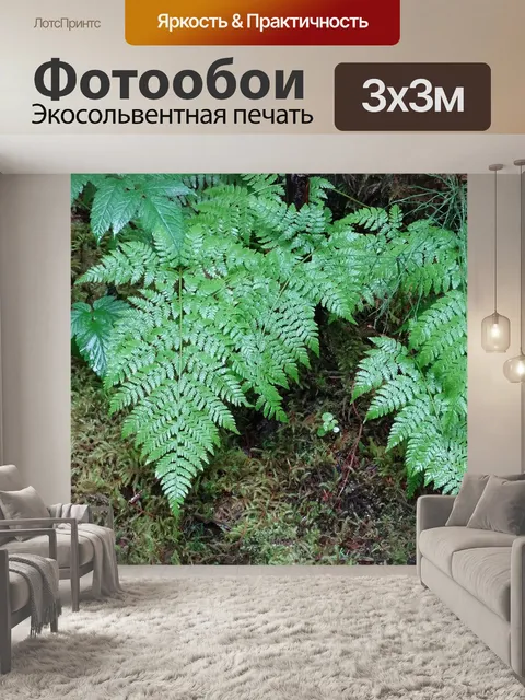 Фотообои Папоротники
