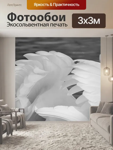 Фотообои Перья