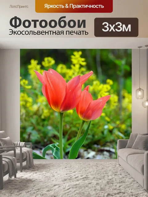 Фотообои Цветок