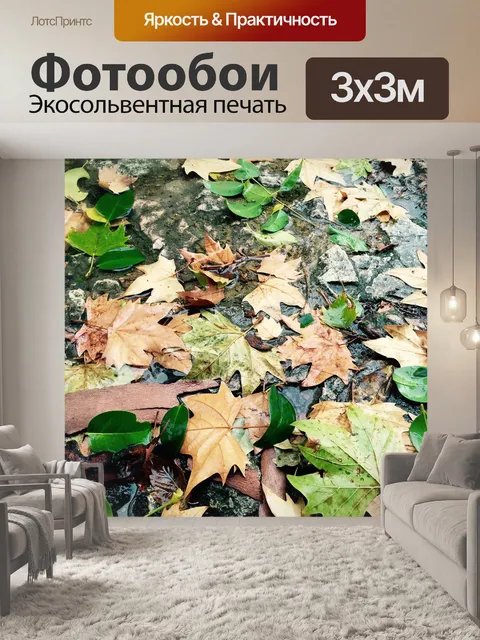 Фотообои Осень