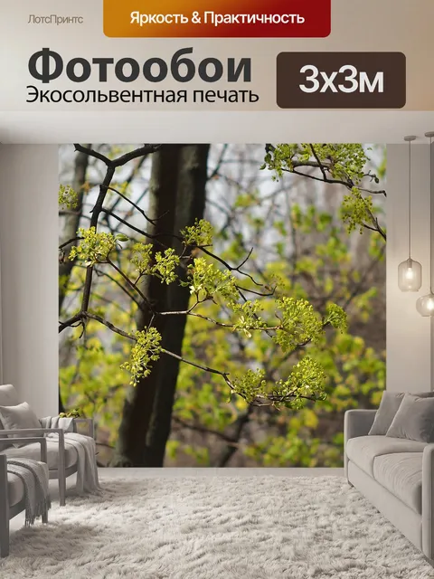 Фотообои Дерево
