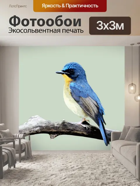 Фотообои Птица Синяя Акварельная живопись