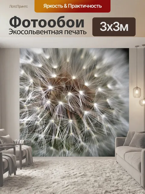 Фотообои Одуванчик