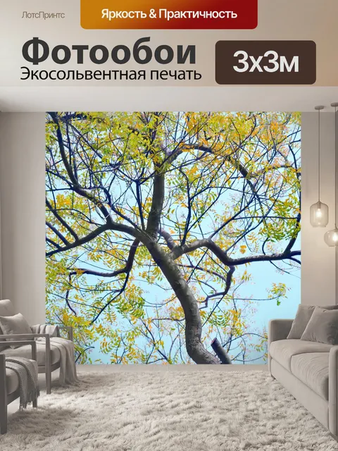 Фотообои Деревья и листья 59
