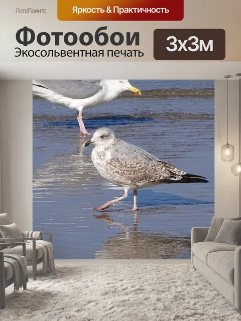 Фотообои Птицы
