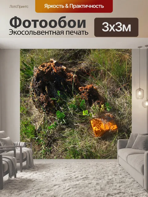 Фотообои кусок окрашенного в оранжевый цвет кирпи