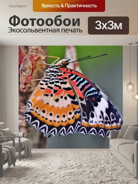 Фотообои Бабочка