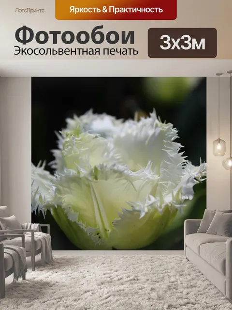 Фотообои Цветы