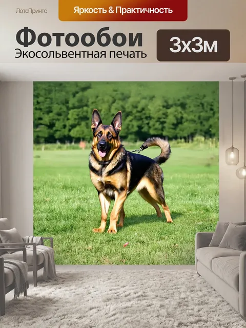 Фотообои **stable diffusion:** `немецкая овчарка