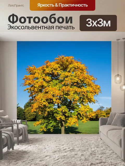 Фотообои Только дерево