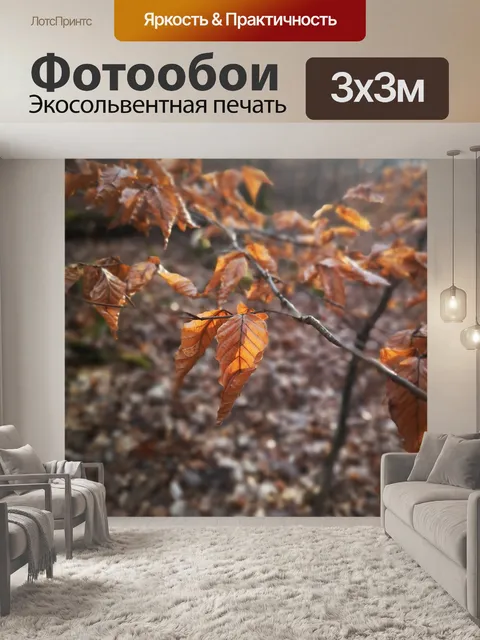 Фотообои Листья