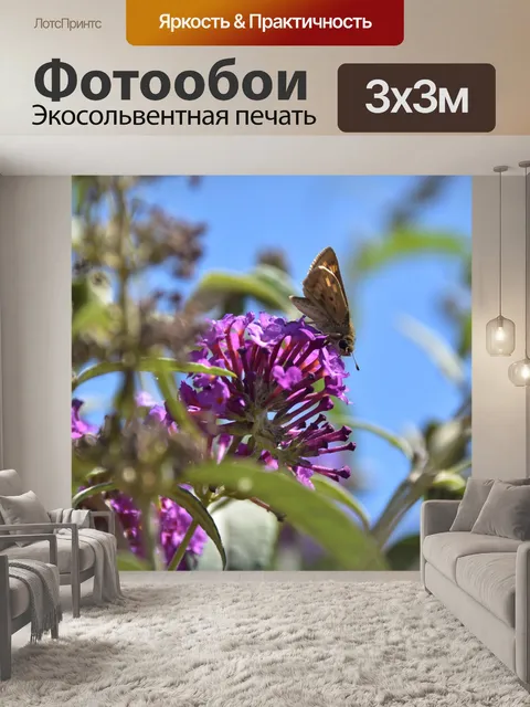 Фотообои бабочка на лаванде