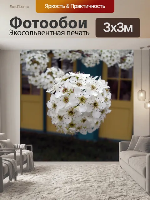 Фотообои Кизил цветов