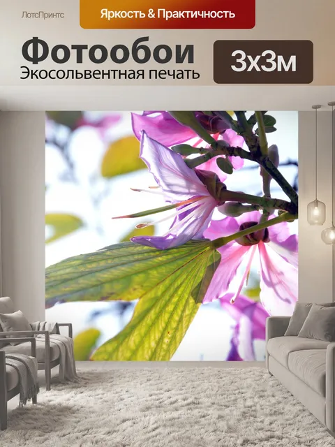 Фотообои Розовый цветок