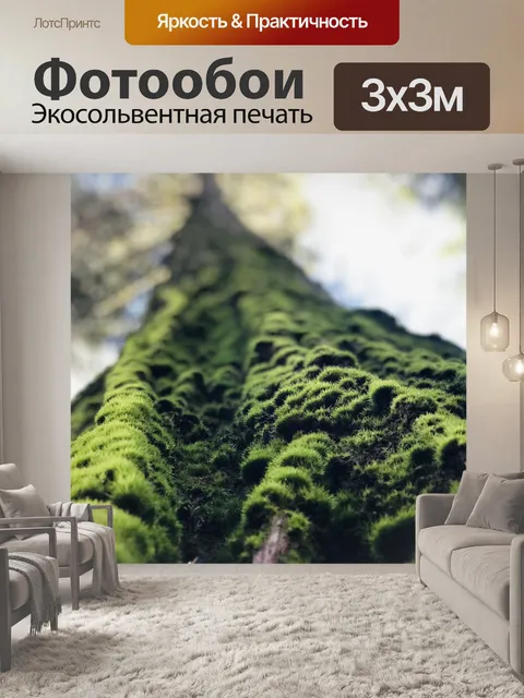 Фотообои Дерево