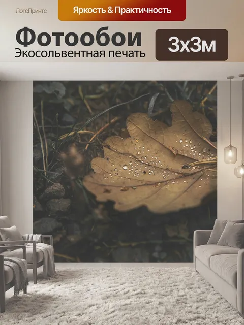 Фотообои Лес