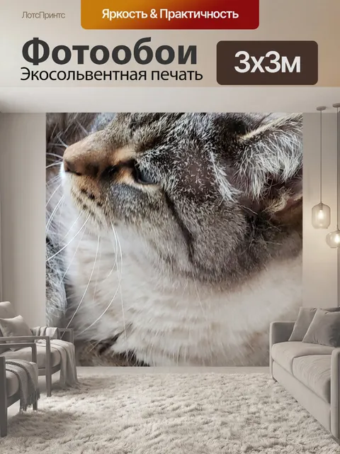 Фотообои часть сиамская кошка