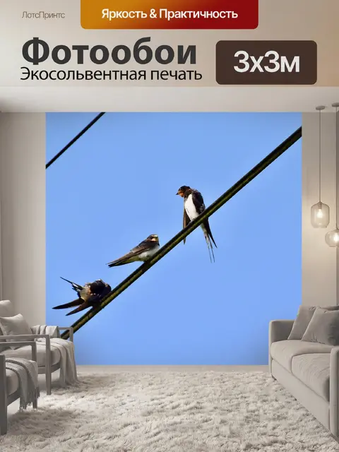 Фотообои Птицы
