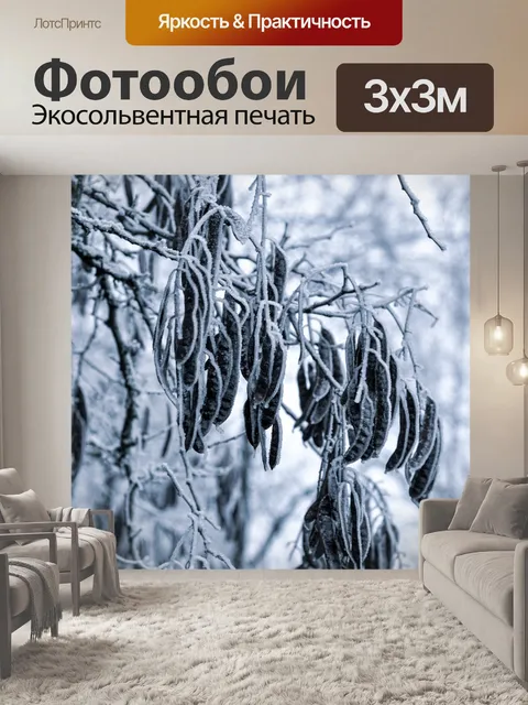 Фотообои Зима