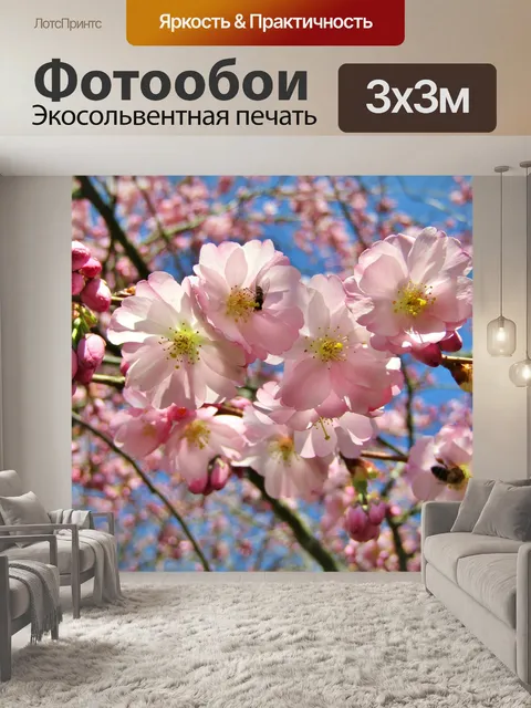 Фотообои Цветение вишни