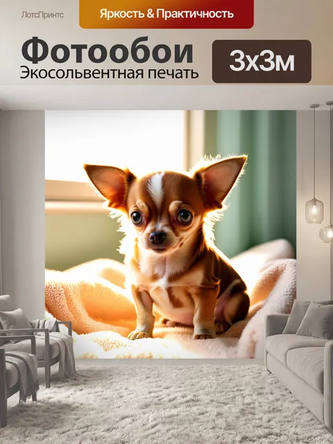 Фотообои маленькая собака чихуахуа