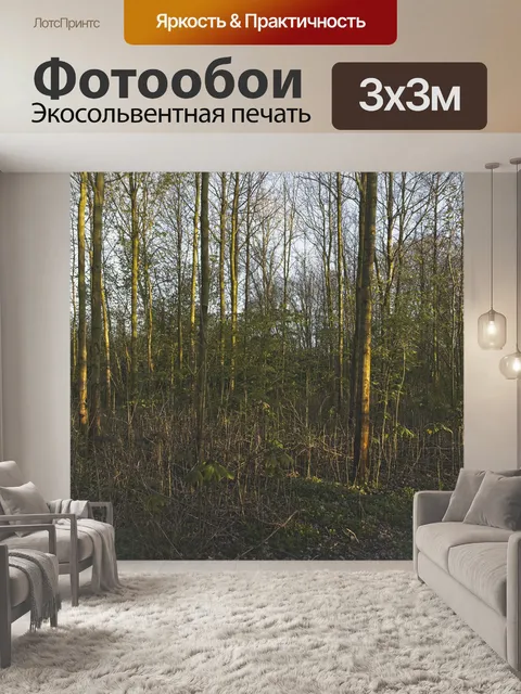 Фотообои Парк