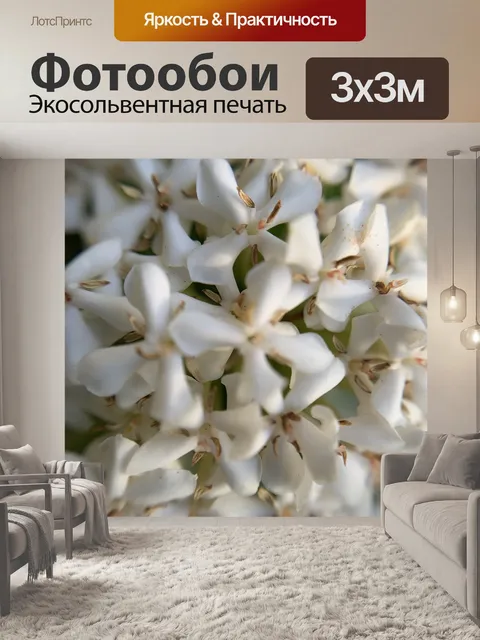 Фотообои Цветы