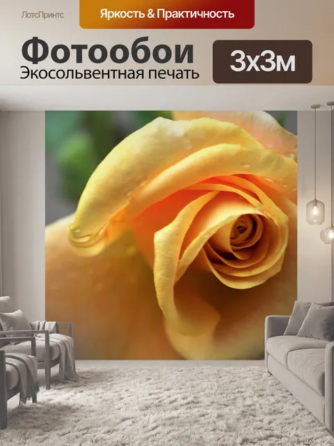 Фотообои Золотая медаль роза