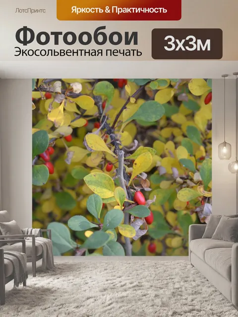 Фотообои Листья