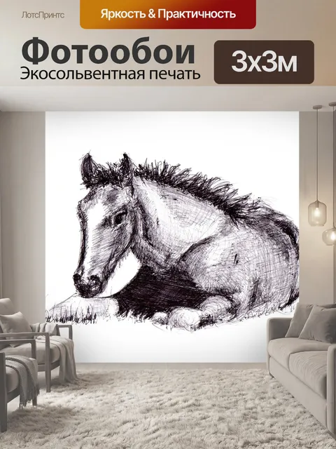 Фотообои Лошадь