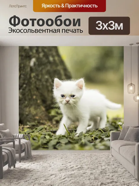 Фотообои Кошки