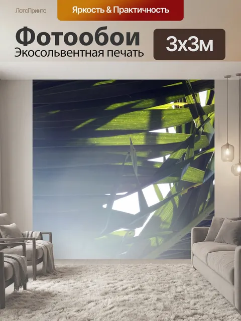 Фотообои Солнечный свет сквозь леса