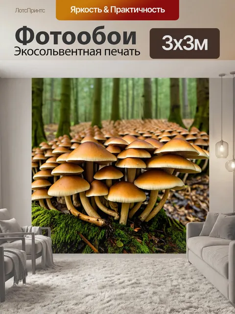 Фотообои грибы лес, грибные деревья, поразительные формы и размеры грибов, образующие тщательно сконструированные…