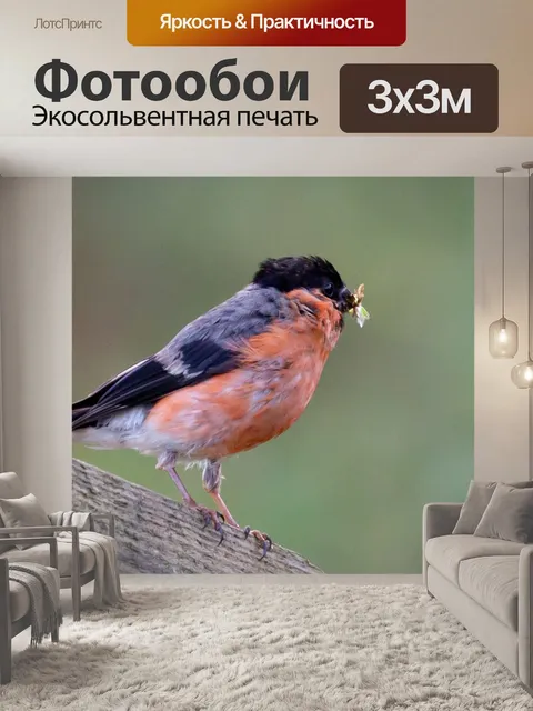 Фотообои Снегирь