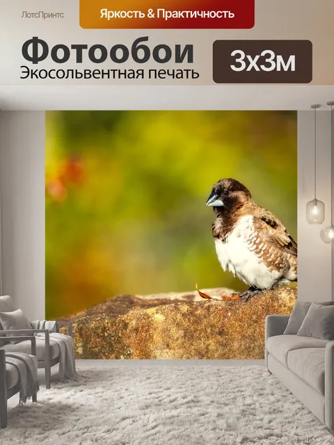 Фотообои Бронзового человечка