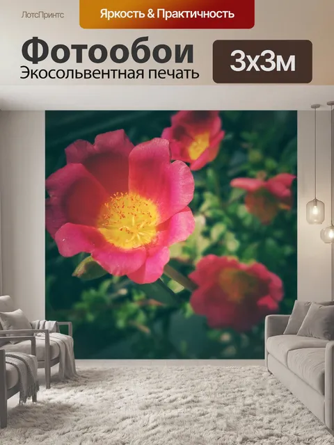 Фотообои Цветы